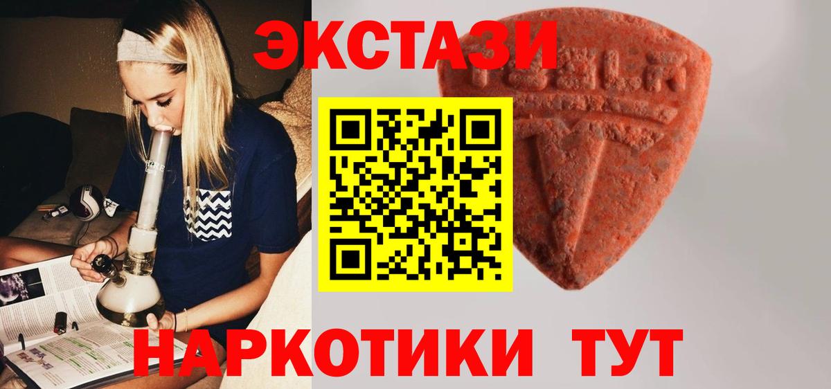 Ecstasy Punisher    ссылка  Ачхой-Мартан  Вход с VPN 