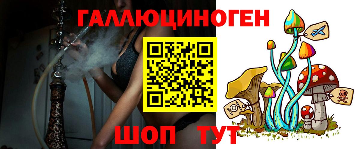 Ачхой-Мартан  Псилоцибиновые грибы Cubensis  Галлюциногенные грибы Cubensis  Вход с VPN 